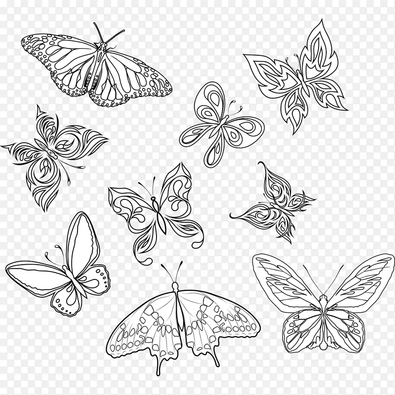 蝴蝶图片蝴蝶昆虫纹身艺术-黑色蝴蝶
