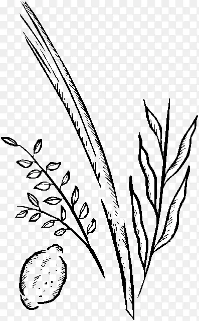 细枝剪枝艺术植物茎叶草-科林斯业务