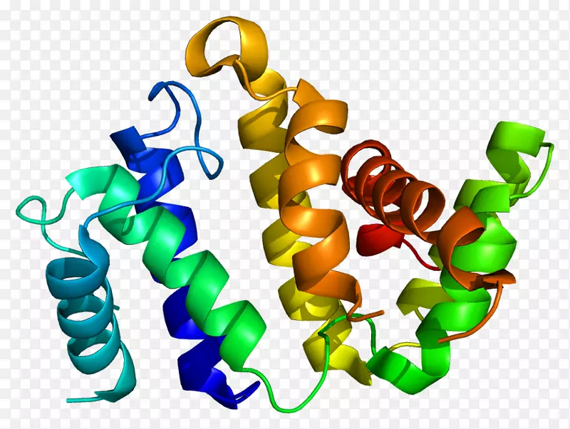 Rho相关蛋白激酶arhgap 26基因pymol