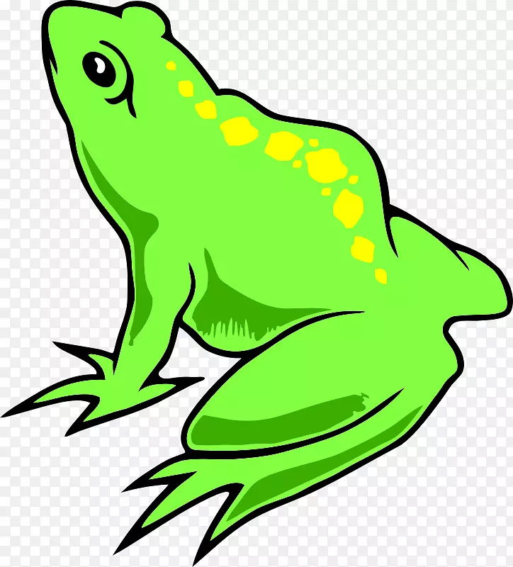 真正的青蛙剪贴画两栖动物食用青蛙两栖动物符号