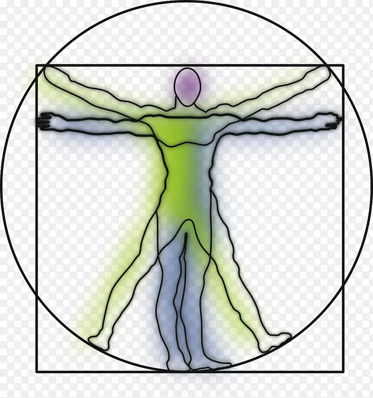 维特鲁维人用红粉笔画人的肖像