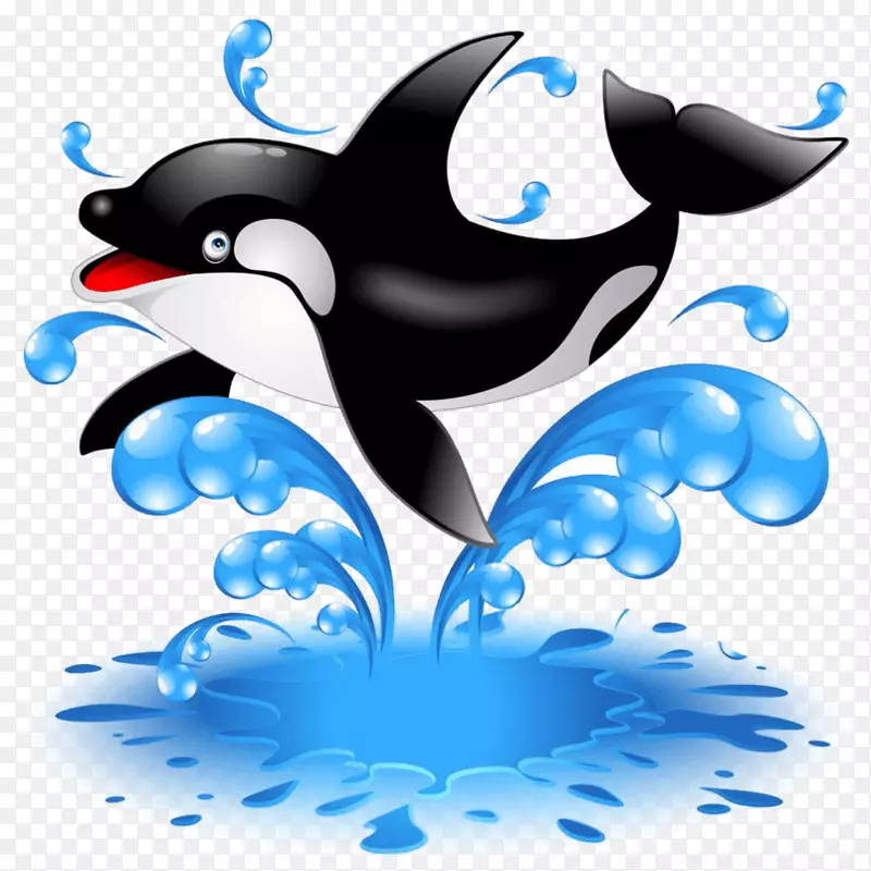 虎鲸种群摄影插图鲸鱼形象-卡通海豚