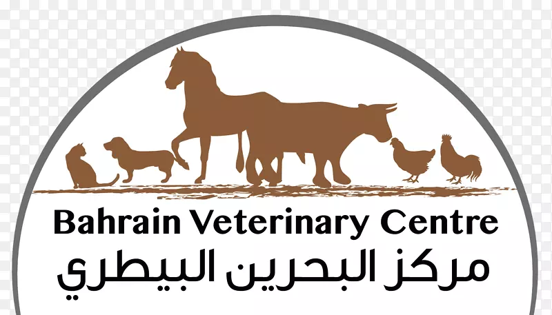 犬、马、猫、巴林兽医中心兽医-狗