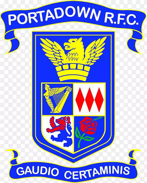 港口城RFC Navan R.F.C.波特城橄榄球俱乐部橄榄球联盟城市阿玛格
