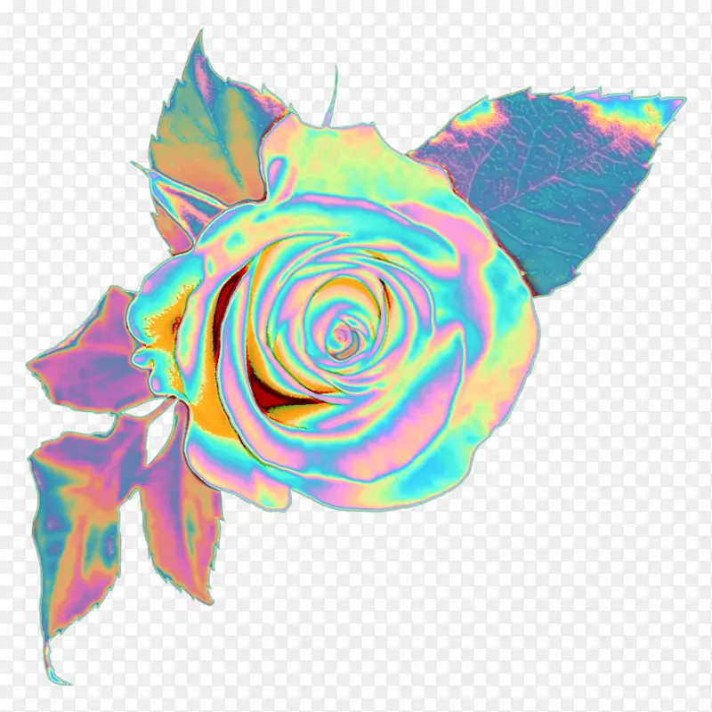 玫瑰png图片剪辑艺术粉红色花朵图像-玫瑰