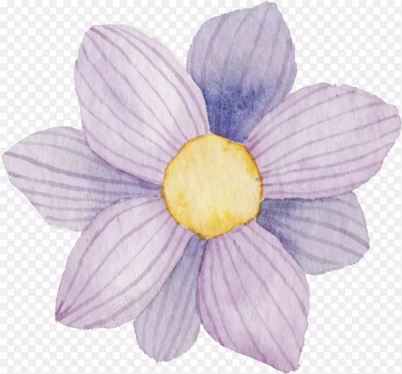 花卉图案紫手画熊