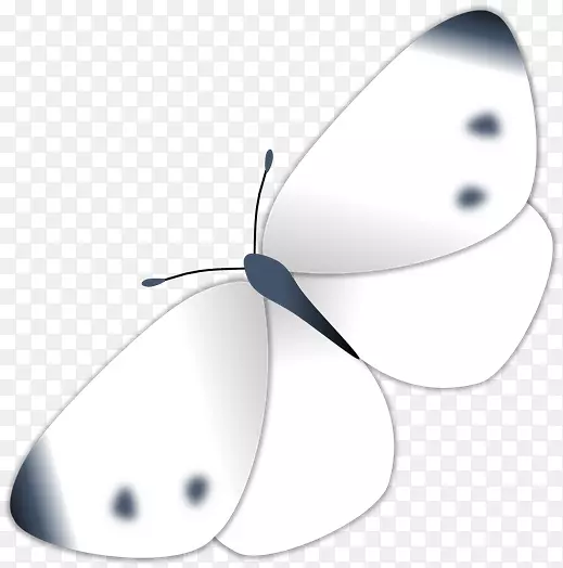 蝴蝶产品设计剪贴画-蝴蝶