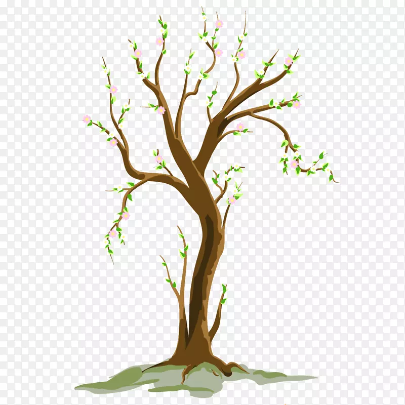 剪贴画png图片树免费内容插图-植物芽