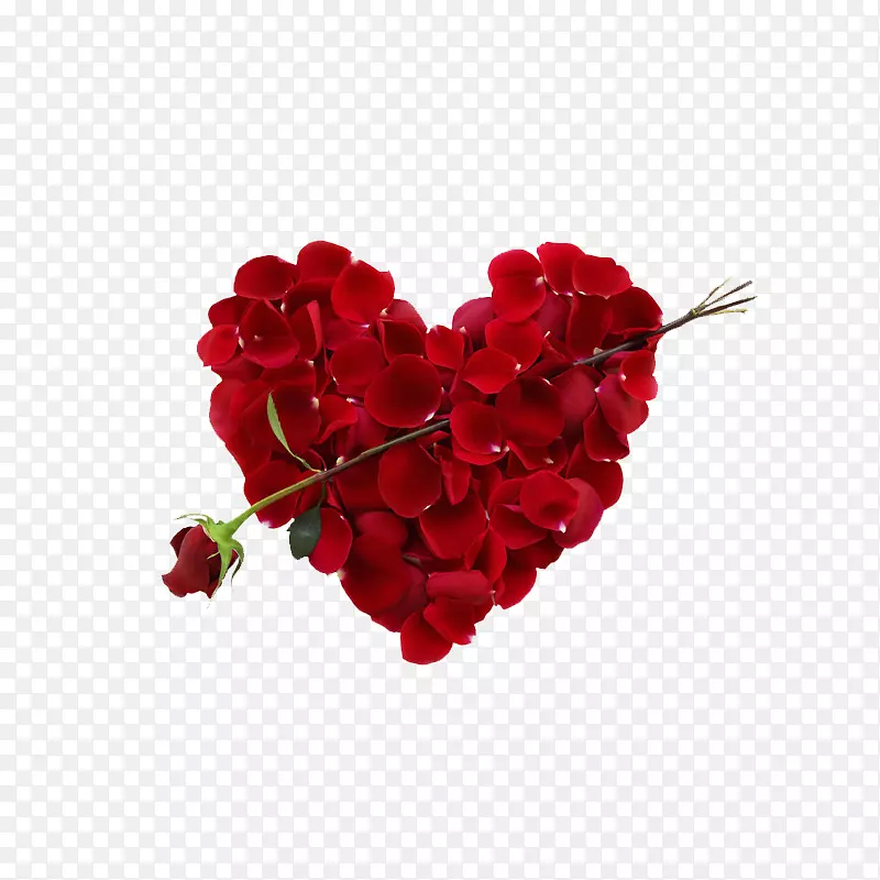 png图片剪辑艺术图形图像psd-情人节玫瑰