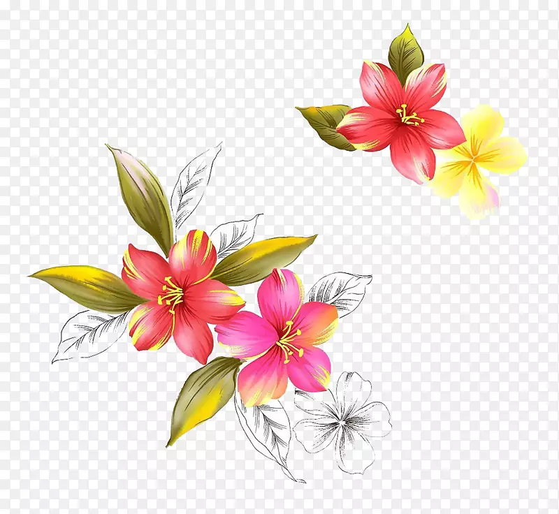 水彩画花卉设计水彩画花卉插图