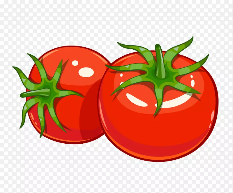 图番茄汤番茄汁比萨卡通番茄
