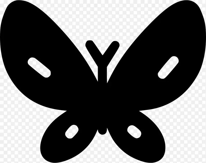毛茸茸的蝴蝶，电脑图标，插画师，剪贴画-蝴蝶