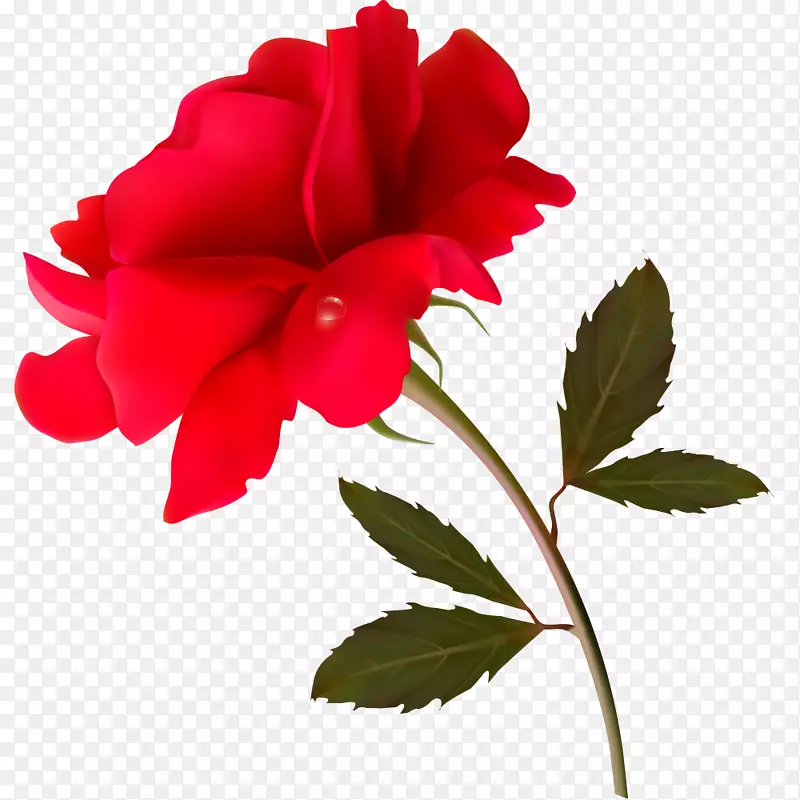 花卉图形设计玫瑰花瓣红复古花