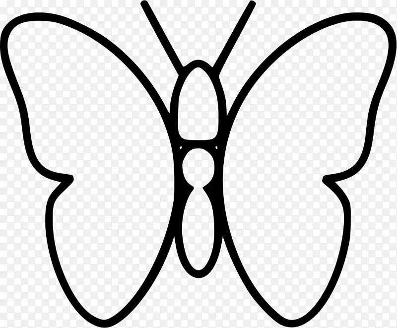 蝴蝶计算机图标可伸缩图形插图朱莉娅蝴蝶