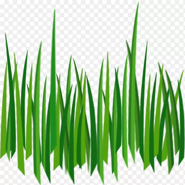 剪贴画png图片纹理映射草坪图像浇水草