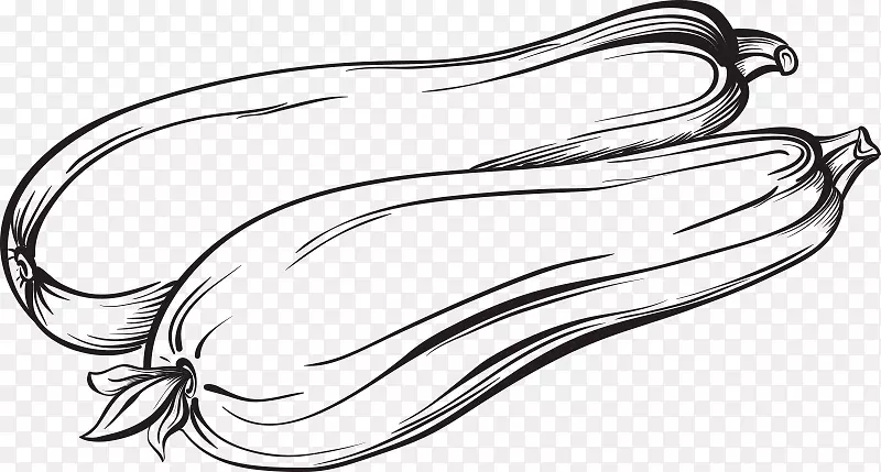 西葫芦植物南瓜骨髓图形.线性
