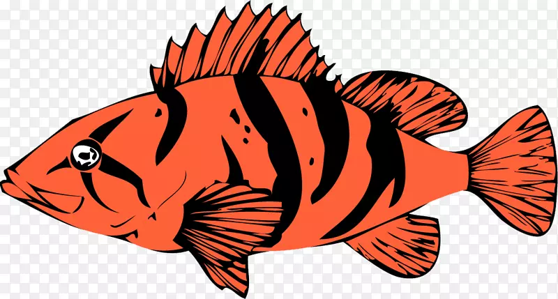 土星岛海洋生物鱼类动物海洋生物