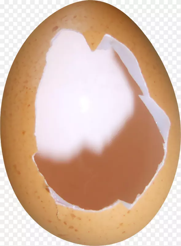 蛋壳png图片鸡图像