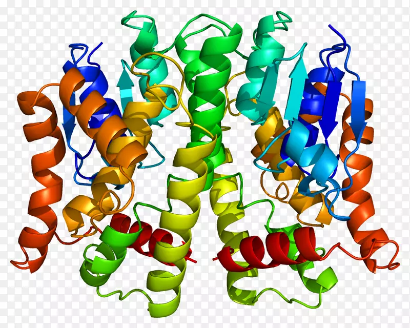 谷胱甘肽s-转移酶mu1gstt 2 GSTT 1