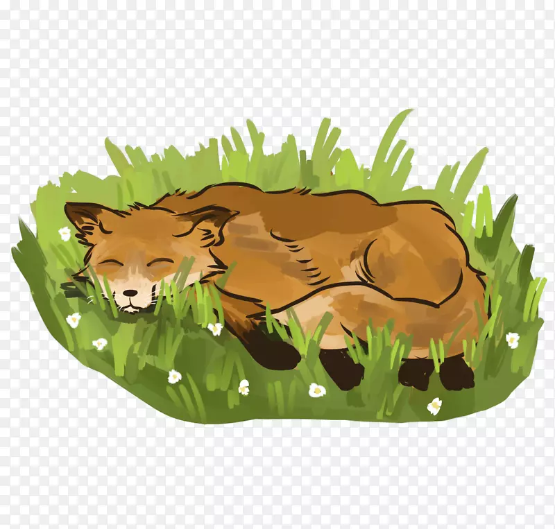 狮子红狐猫陆生动物-狮子