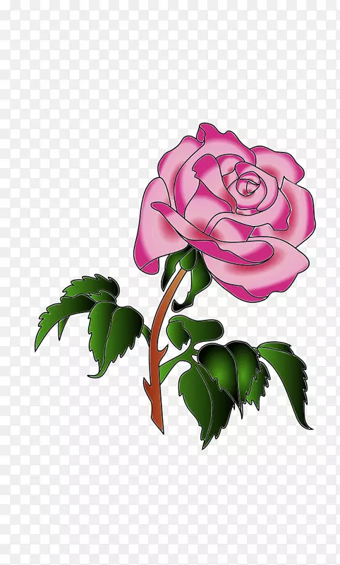 花卉设计花园玫瑰蓝玫瑰花瓣
