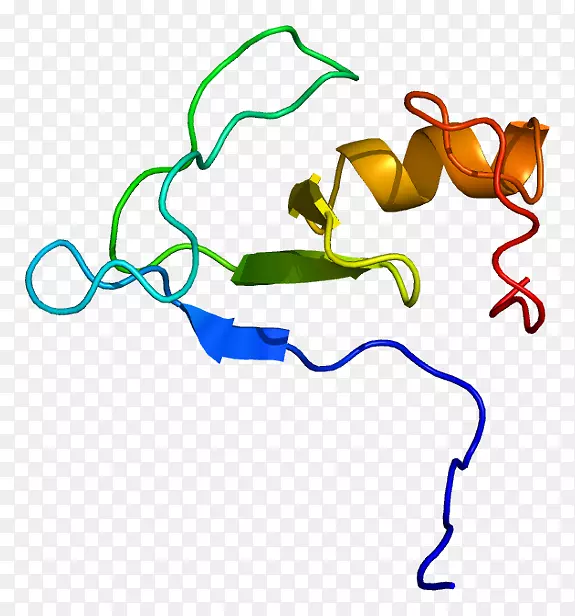 rnf 38基因蛋白人无名指结构域依赖源