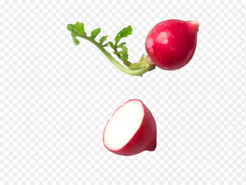 萝卜png图片剪辑艺术图像蔬菜