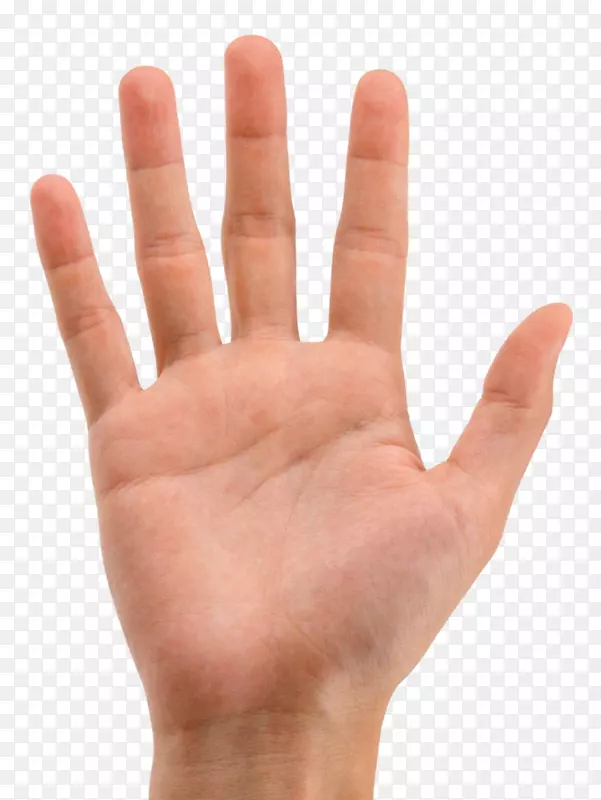 png图片食指手图像握手