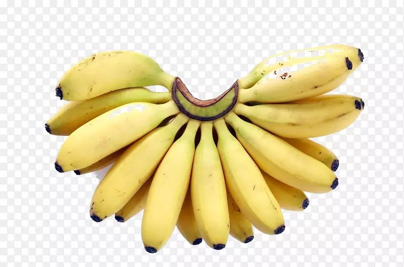 哈迪香蕉果香蕉形象笼