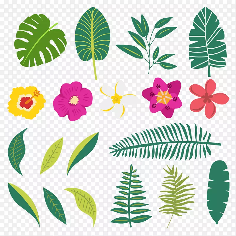 植物图像叶设计png图片.BUGA