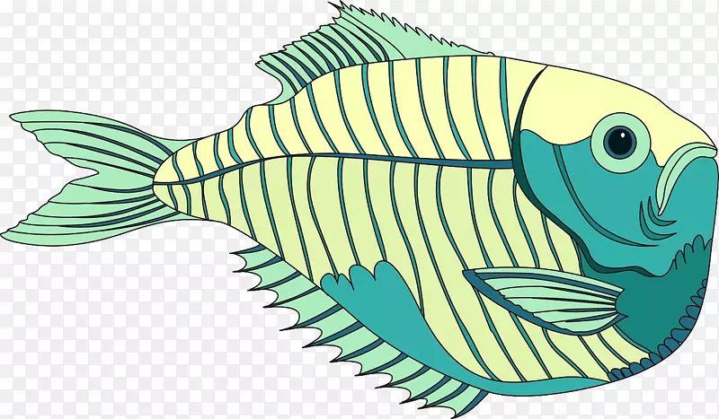 海洋生物生态系统剪辑艺术珊瑚礁鱼插图-鱼