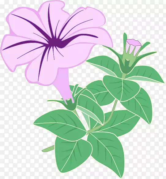 开花植物图形花卉设计紫色-花瓣载体