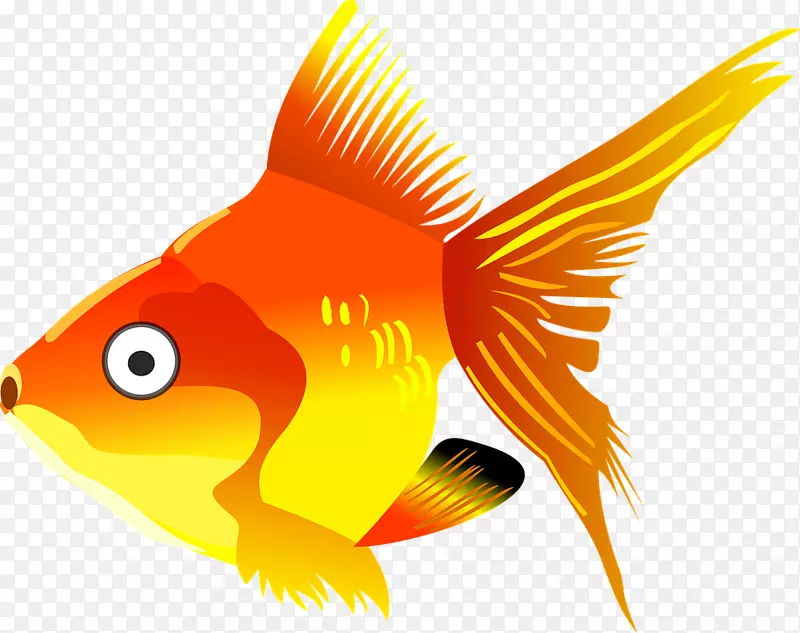 金鱼锦鲤图形绘图夹艺术-泊松卡通