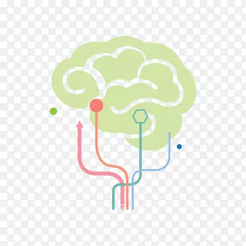 神经系统教育的脑觉发展-脑运动