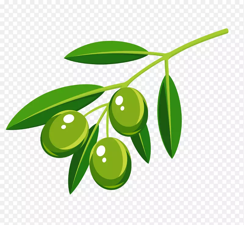 图形版税-免费橄榄枝图像照片-橄榄叶枝
