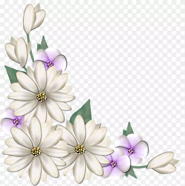 花卉设计剪贴画图片花瓣透明背景