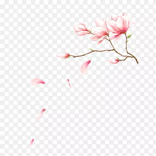 图片中秋节png图片花瓣粉红色树枝
