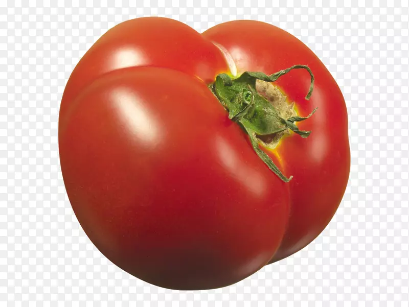 李子番茄灌木番茄水果食品-番茄