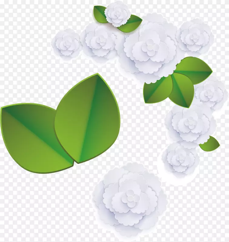 花卉设计png图片图像adobe Photoshop-白色玫瑰