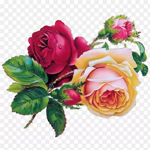 玫瑰花卉设计