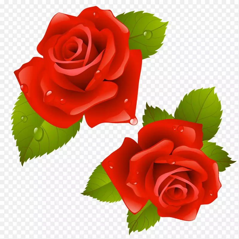 海滩玫瑰花图像png图片设计-漂亮的花