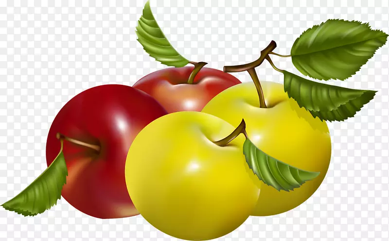 巴巴多斯樱桃苹果图形水果素食烹饪-苹果