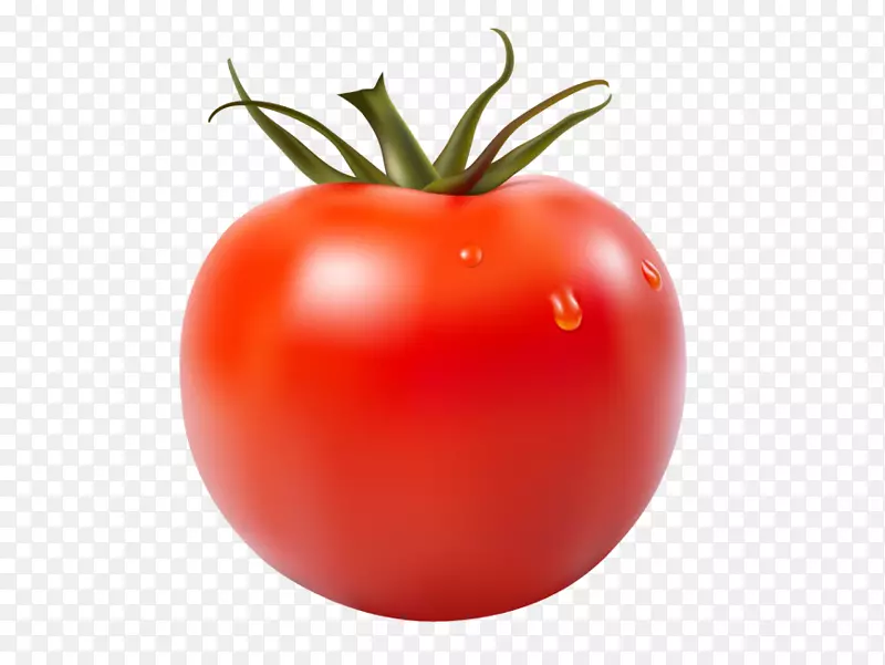 番茄汁番茄汤番茄酱图形.番茄