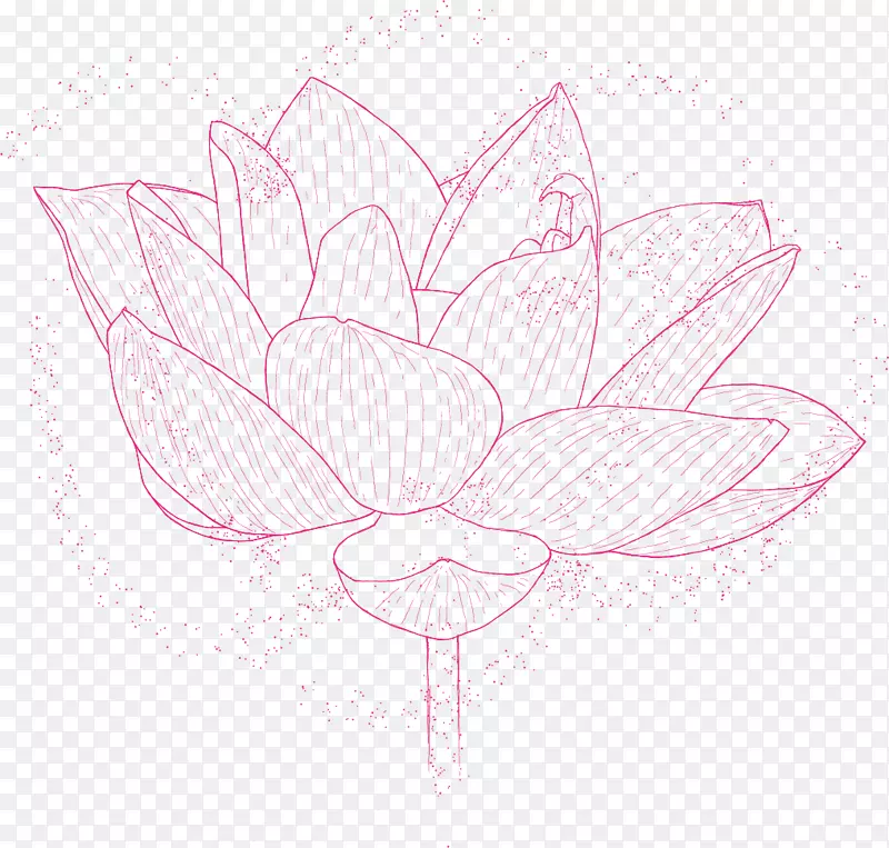 玫瑰家族素描插画花卉设计