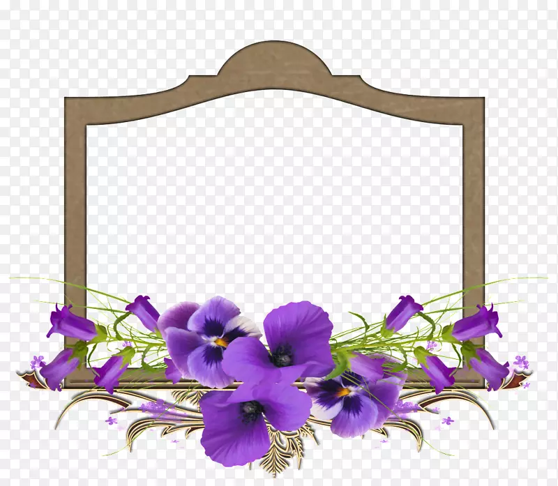 非洲紫罗兰花画框.花卉边框