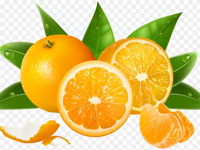 果汁橙png图片图形clementine.柚子旗