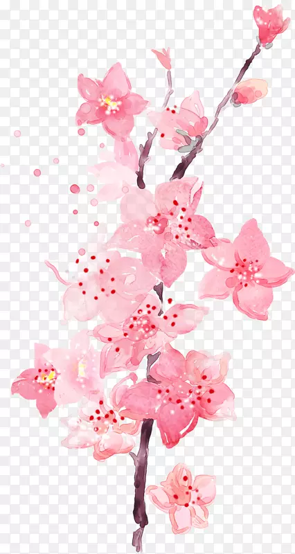 粉红花卉设计桌面壁纸剪贴画