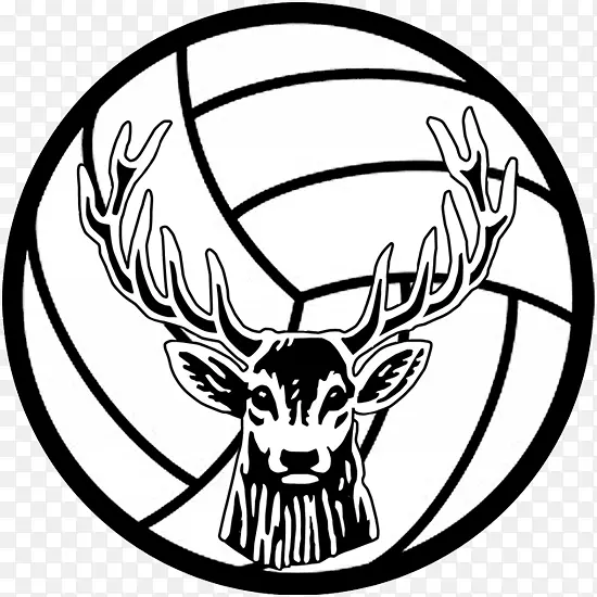 排球CEV冠军联赛运动队威尔明顿海鹰男子篮球-海胆徽章