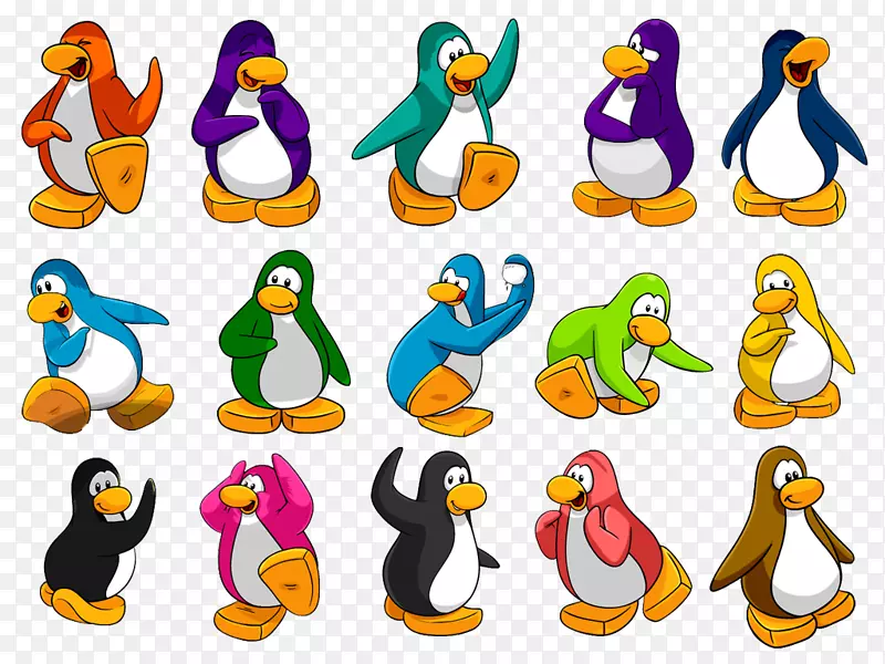 俱乐部企鹅鸟动画脊椎动物-企鹅