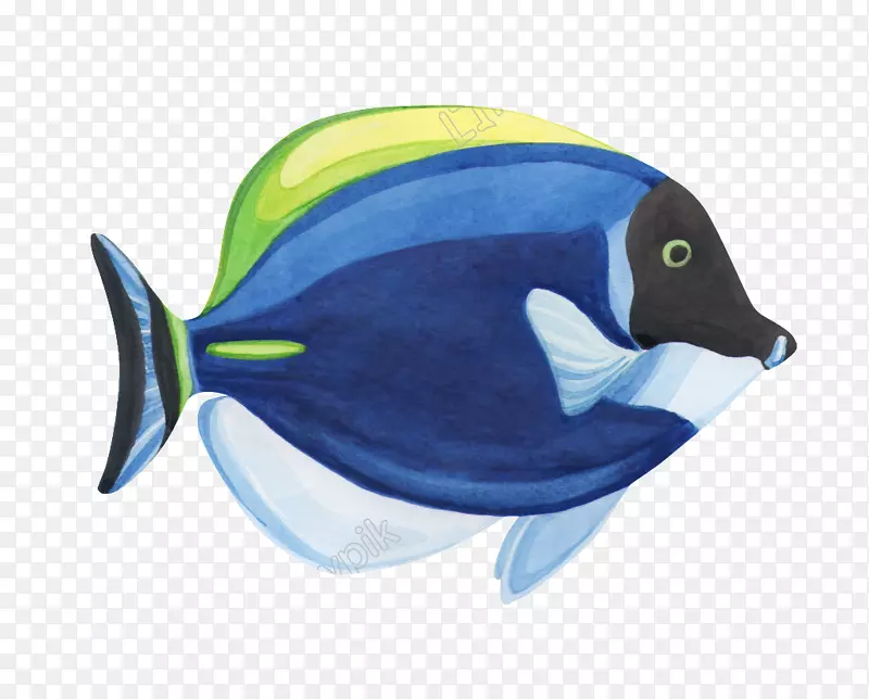 金鱼水彩画图形.鱼
